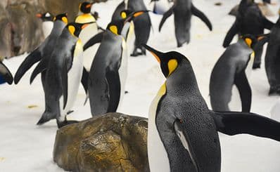 Melbourne Aquarium