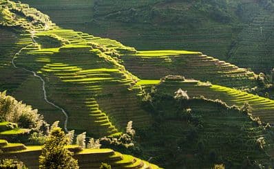 Longji Terrace / 龙脊梯田