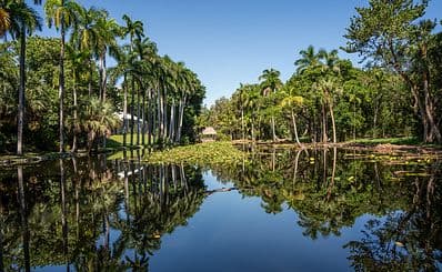 Bonnet House Museum & Gardens