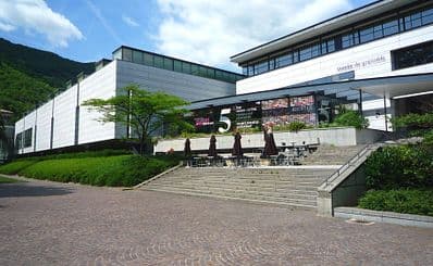 Musée de Grenoble