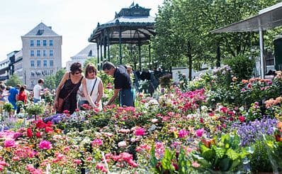 Flower market Kouter