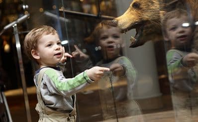Museum of Grenoble