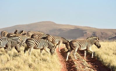 NamibRand Nature Reserve