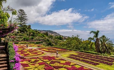 Monte Palace Tropical Garden