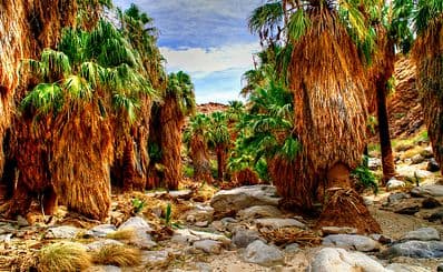 Indian Canyons