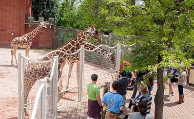 Zoo de Denver