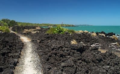 Rangitoto Island