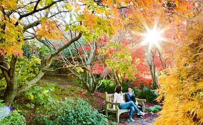 Blue Mountains Botanic Garden Mount Tomah