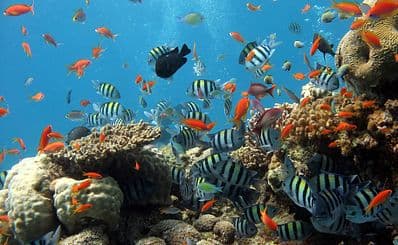 Galway Atlantaquaria — National Aquarium of Ireland