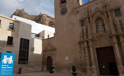 MACA Museum