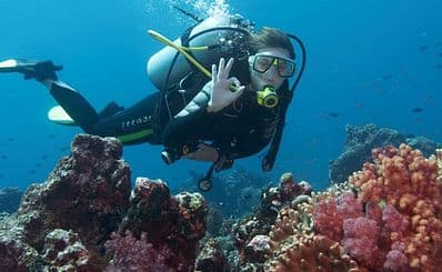 Diving