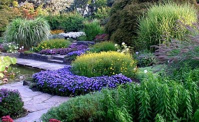 Botanic Garden