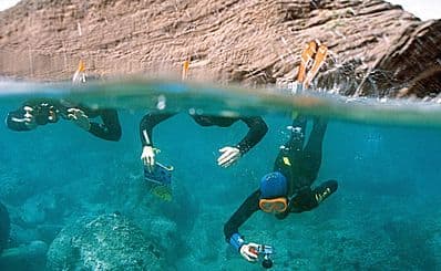 The submarine trail