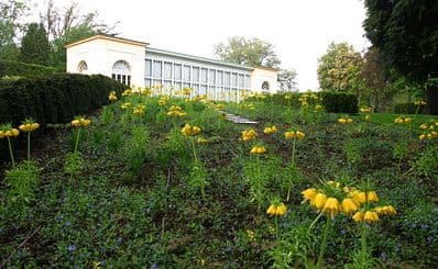 Burg Garden