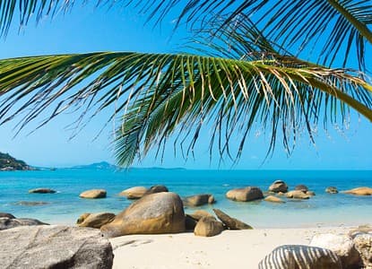 Beach Life