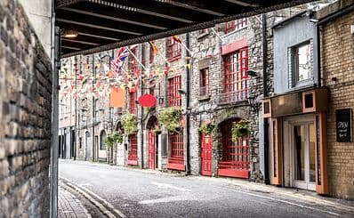Dublinia