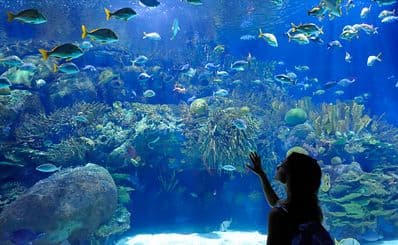 Planet Ocean World