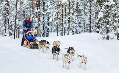 Dog Sled