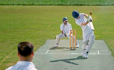 Cricket