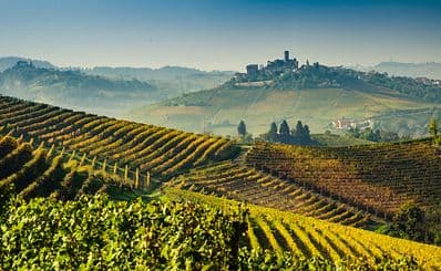 Wine Tours in Langhe Region