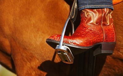 High Chaparral