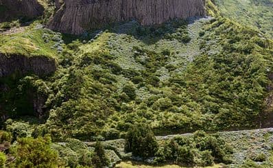 Rocha Dos Bordões