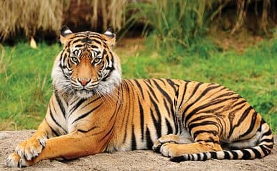Houston Zoo