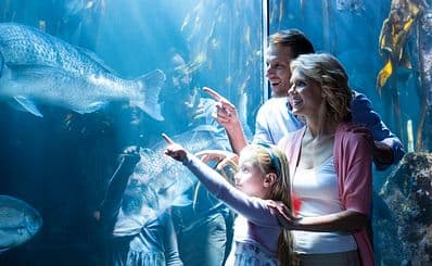 Sylt Aquarium