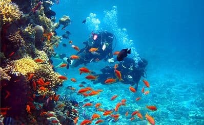 Diving
