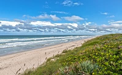 Canaveral National Seashore