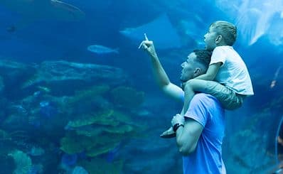 Georgia Aquarium