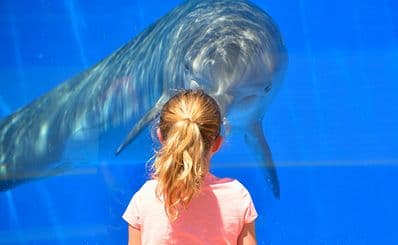 Ocean World Adventure Park