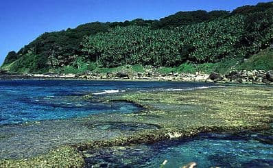 Snorkelling