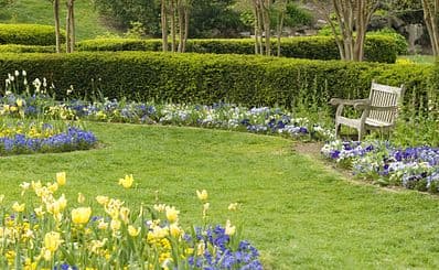 Centennial Park