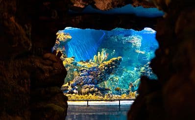 Fakieh Aquarium