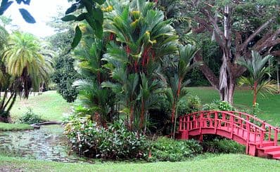 San Juan Botanical Garden