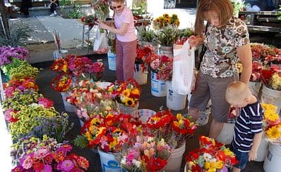 San Joaquin County Farm Guide