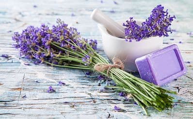 Back In Thyme Herbals