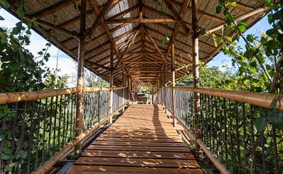 Botanical Garden