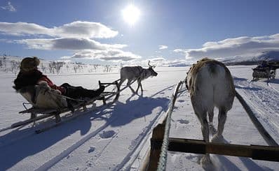 Sleigh Ride with Reindeer