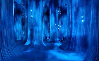 TeamLab Borderless Jeddah