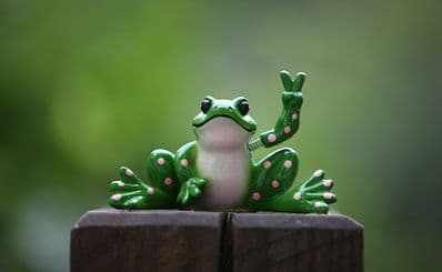 Senior Frog's (Agia Napa)