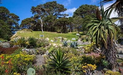 Wellington Botanic Garden