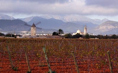 Binissalem Wine Village