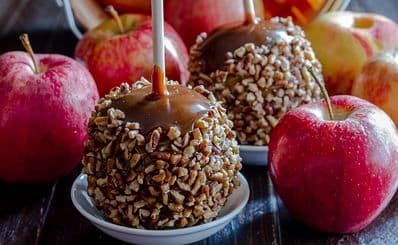 Savannah's Candy Kitchen