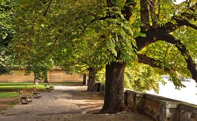 Kampa Park