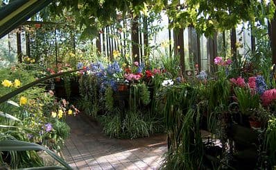 Glasgow Botanic Gardens