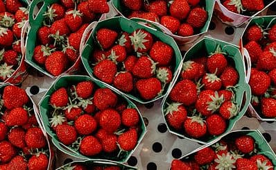 Place des Lices Market