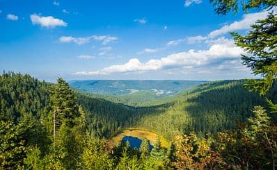 Black Forest National Park