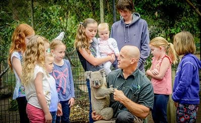 Shoalhaven Zoo
